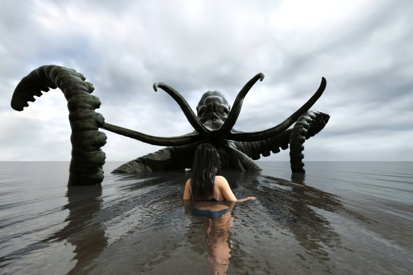 Kraken 17 at net