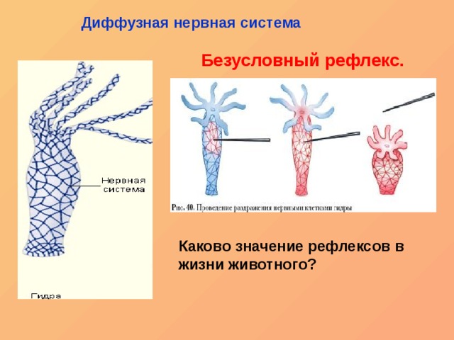 Найти ссылку на кракен