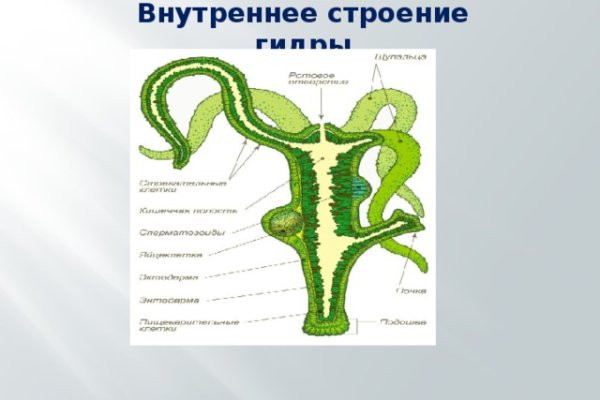 Кракен даркнет отзывы